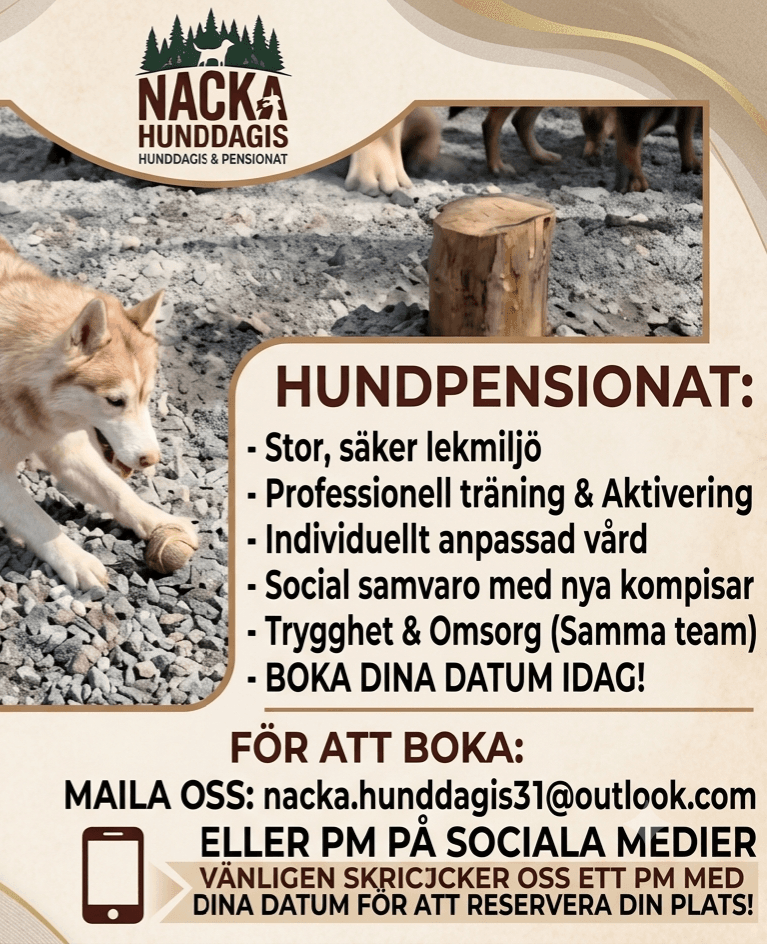 Bild från Nacka Hunddagis